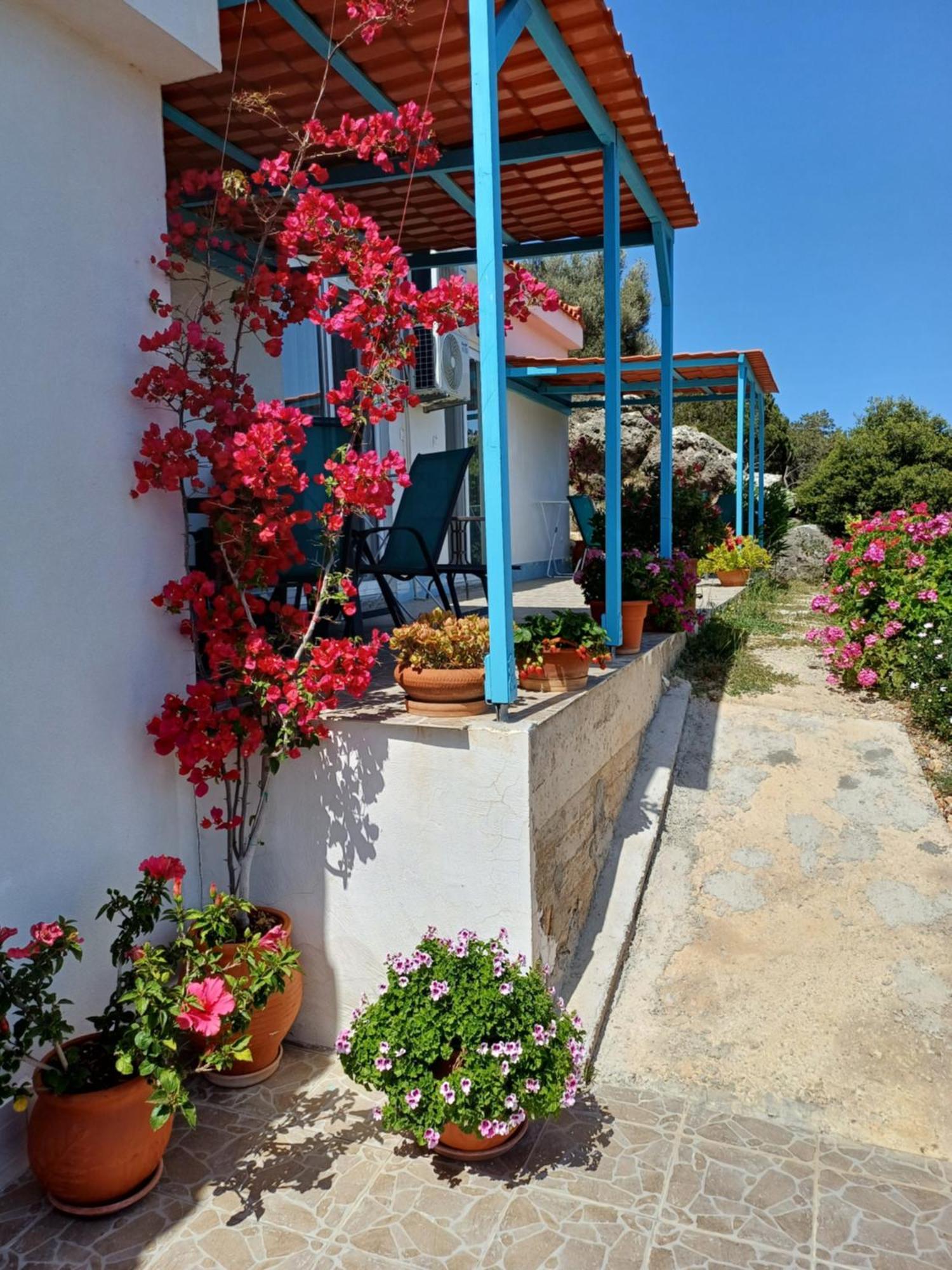 Hari Apartments Vathi, Agios Nikolaos Crete 외부 사진